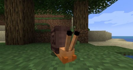  Lovely Snails  Minecraft 1.20.1