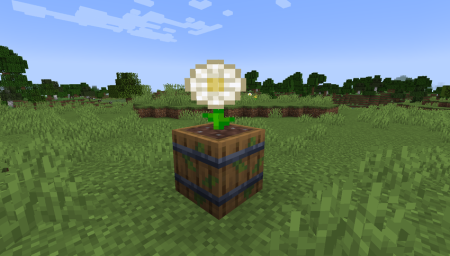  Empowerment Garden  Minecraft 1.20.1