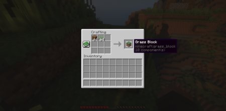  Seeded Grass  Minecraft 1.21.4