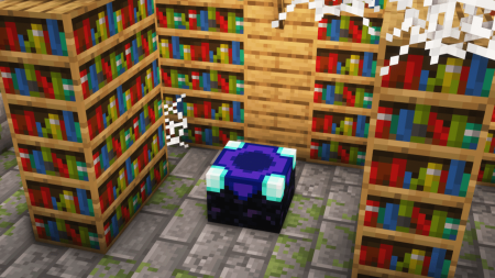  Dis-Enchanting Table  Minecraft 1.21.5