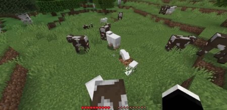  Solid Mobs  Minecraft 1.21.5