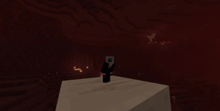  Solid Mobs  Minecraft 1.21.5
