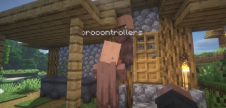  Nametag Tweaks  Minecraft 1.21.5