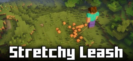 Stretchy Leash  Minecraft 1.21.5