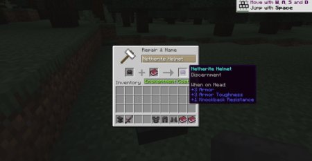 Discernment  Minecraft 1.21