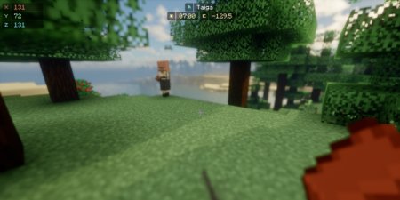  StarHUD  Minecraft 1.21.4