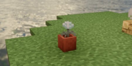  Instant Feedback  Minecraft 1.21.5