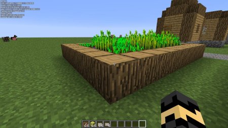  MiniHUD  Minecraft 1.21.5