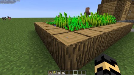  MiniHUD  Minecraft 1.21.5