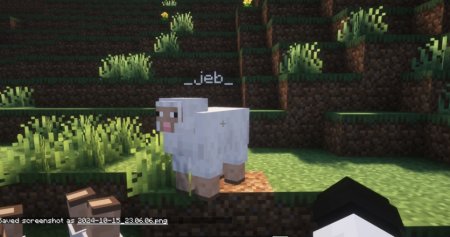  Toggle Nametags  Minecraft 1.21.5