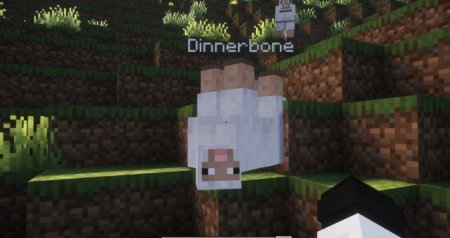  Toggle Nametags  Minecraft 1.21.5
