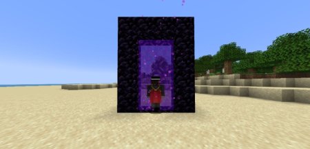  Allow Portal GUIs  Minecraft 1.21.4