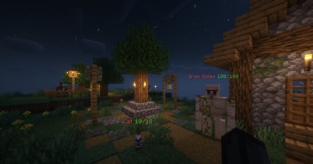  Better Healthbar  Minecraft 1.21.5