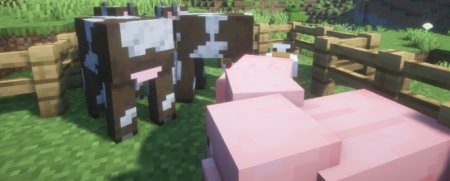  Auto Feeder  Minecraft 1.21.6