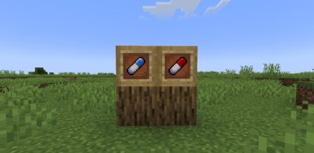  Dementia  Minecraft 1.21.5
