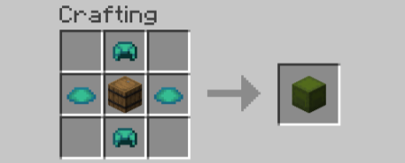  Turtle Totes  Minecraft 1.21.4