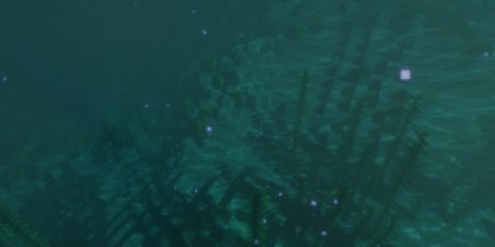  Water World  Minecraft 1.21.1