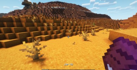  Scribble  Minecraft 1.21.5