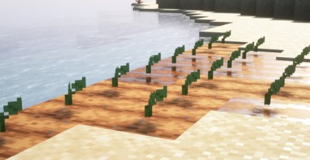  Cotton  Minecraft 1.19.2