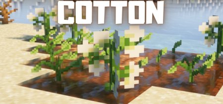  Cotton  Minecraft 1.19.2