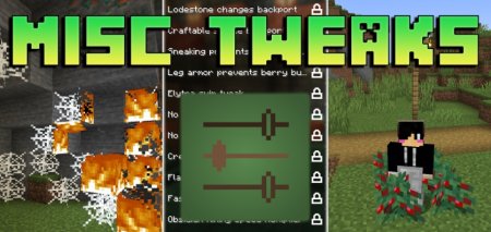  Misc Tweaks  Minecraft 1.21.5
