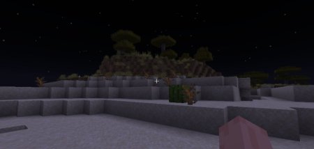  Cat Eyes  Minecraft 1.21.6