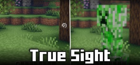  True Sight  Minecraft 1.21.5