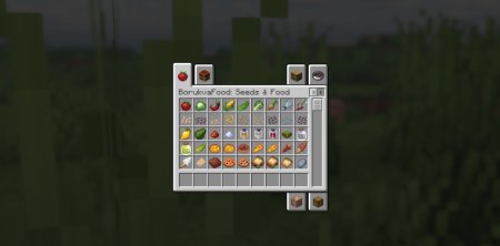  Borukva Food  Minecraft 1.21.6