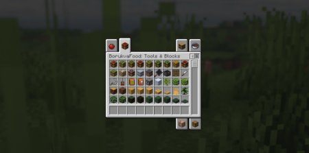  Borukva Food  Minecraft 1.21.6