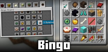  Bingo  Minecraft 1.21.7