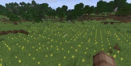  Light Level 2025  Minecraft 1.21.7