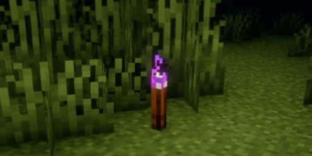  Torcherino (Unofficial)  Minecraft 1.21.8
