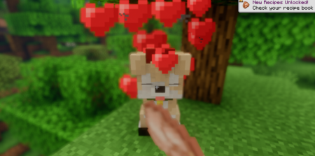  Companions  Dogfolk  Minecraft 1.21.8