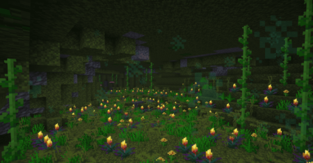  Infinity Cave  Minecraft 1.21.8