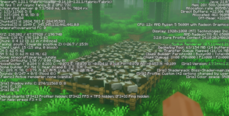  Too Many Entities  Minecraft 1.21.8