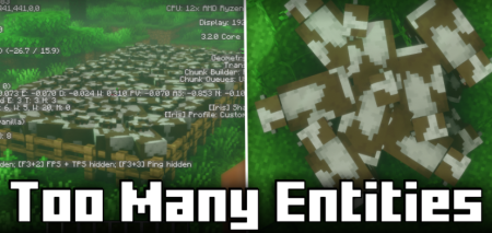  Too Many Entities  Minecraft 1.21.8