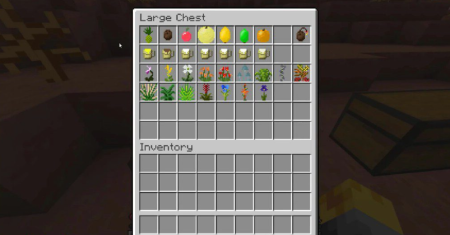  Tropicraft  Minecraft 1.21.8