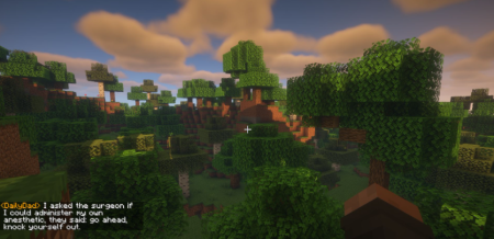  Daily Dad  Minecraft 1.21.5