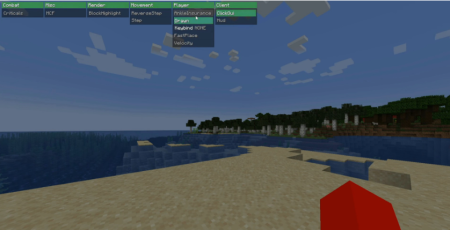  Oyvey Client  Minecraft 1.21.5