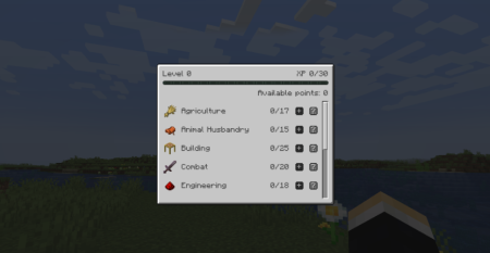  SkillMMO  Minecraft 1.20