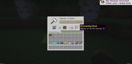  Easy Disenchanting  Minecraft 1.21.5