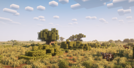  Still Life  Minecraft 1.21.7