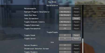  Toggle Toggle  Minecraft 1.21.5