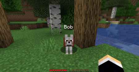  Pet Essence  Minecraft 1.20.1