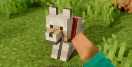  Pet Protect  Minecraft 1.21.8