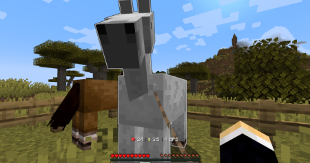  Nice Horse Stats  Minecraft 1.21.4