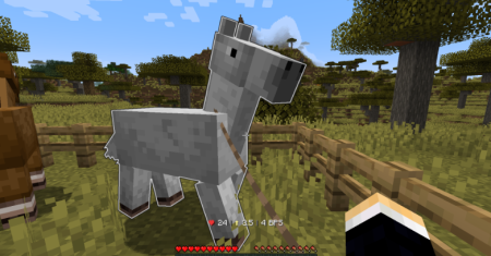  Nice Horse Stats  Minecraft 1.21.4