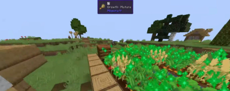  Twerk It Meal  Minecraft 1.20.1