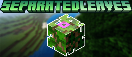  Separated Leaves  Minecraft 1.21.5