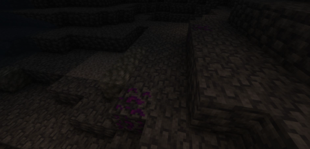  Randomium Ore  Minecraft 1.21.1